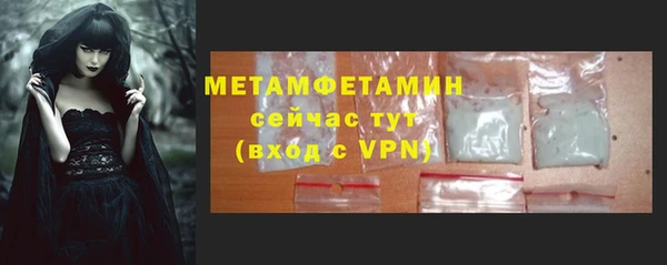 ПСИЛОЦИБИНОВЫЕ ГРИБЫ Вяземский