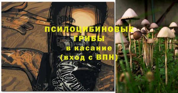 СК Липки