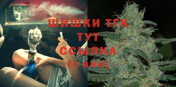ПСИЛОЦИБИНОВЫЕ ГРИБЫ Вяземский