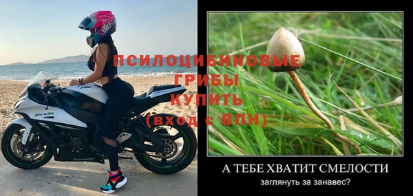 ешки Лиски