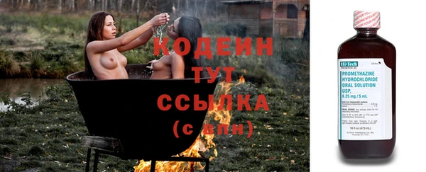 PSILOCYBIN Вязники