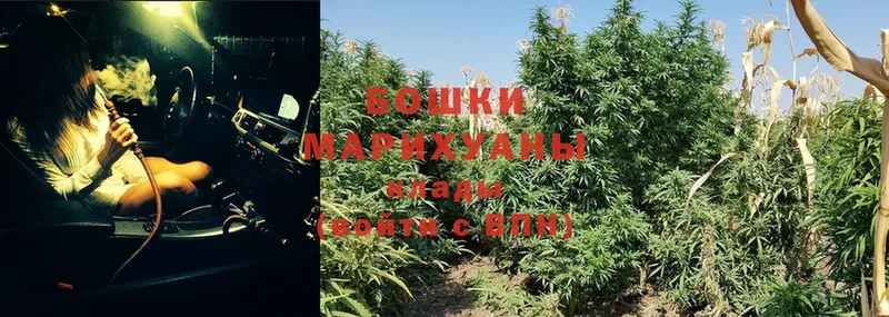 OMG онион  Дно  Шишки марихуана THC 21% 